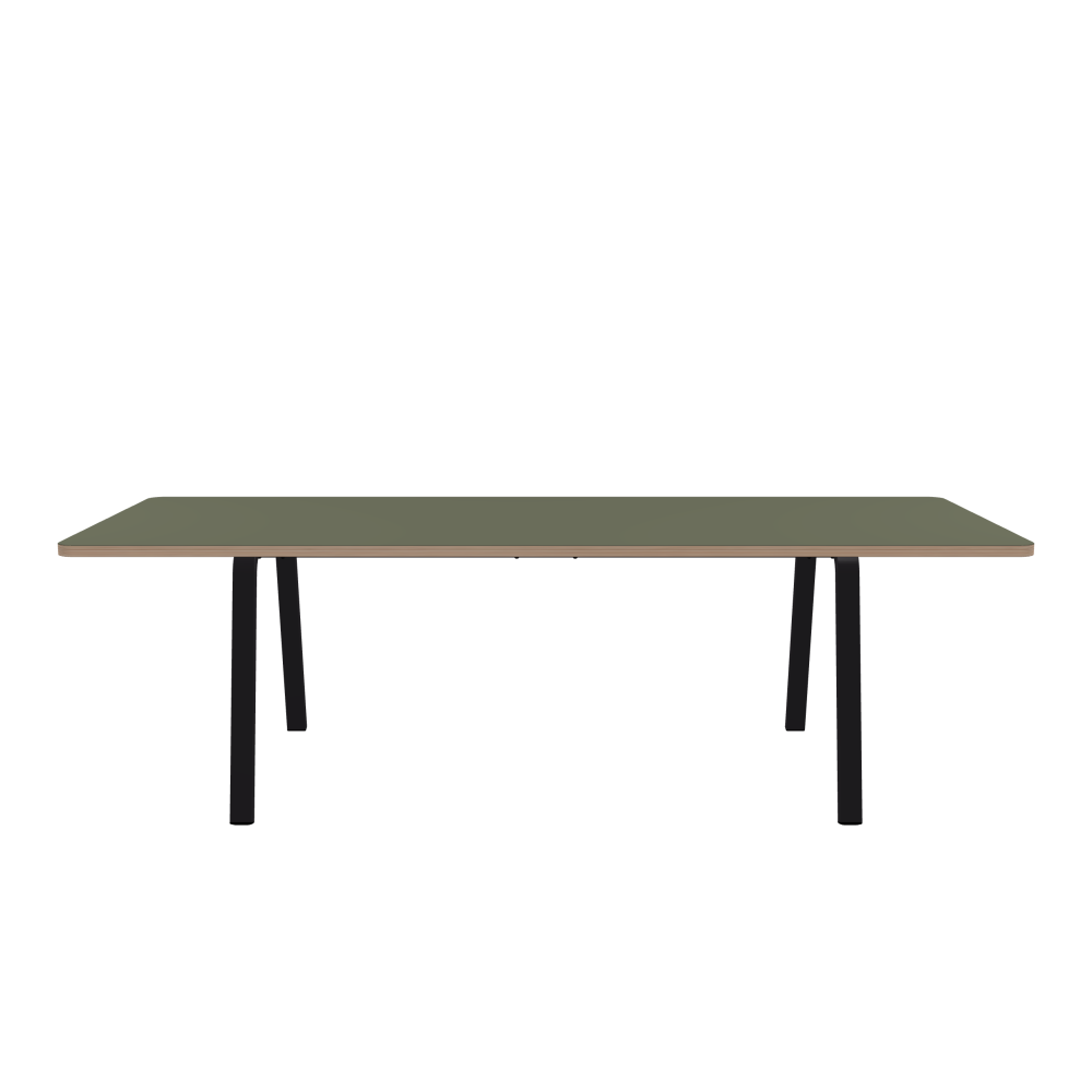 DIN Table - Shape Square - Length 250.00 cm - Width 100.00 cm - Radius 5.00 cm - Thickness 3 cm - Freeform 1.00000000 - Surface Linoleum, 4184 Olive - Core Laminboard - Edge Multiplex - Profile Edge 90° / DIN Table Frame - Material and Colour Powder-coated steel, Jet Black (RAL 9005) - Width M - Set 2 Pieces