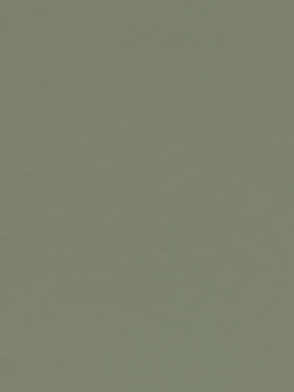 Linoleum-Oberfläche in Olive – matter Belag mit feiner Textur in gedecktem Olivgrün, gezeigt als Materialdetail einer Tischplatte von Faust.